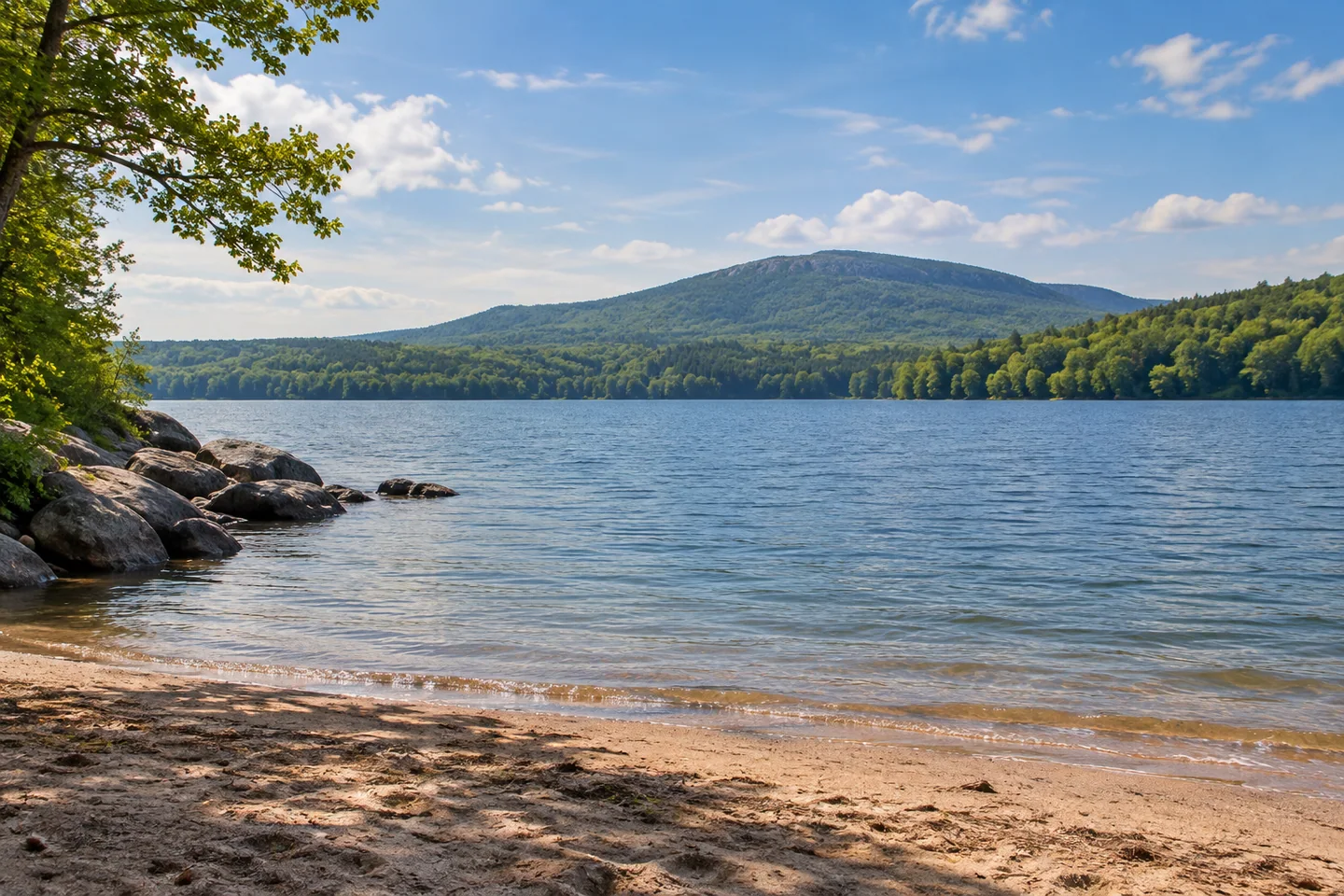 Barrett's Cove Beach — AI-generated editorial illustration