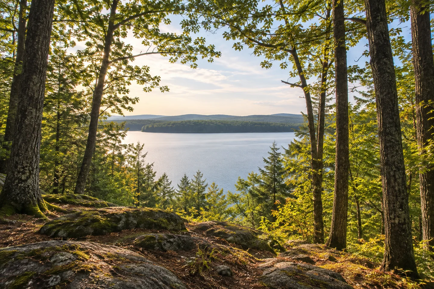 Carleton Pond and Watershed Trail — AI-generated editorial illustration