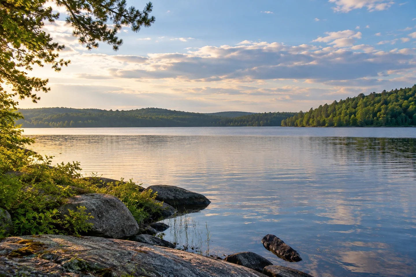 Chickawaukie Pond and Johnson Memorial Park — AI-generated editorial illustration