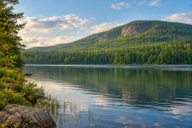 Cushman Pond — AI-generated editorial illustration