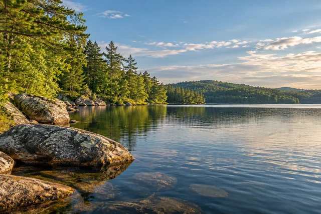 Dyer Long Pond — AI-generated editorial illustration