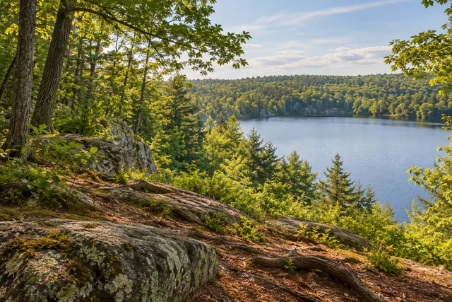 Hallowell Reservoir Recreation Area and City Forest — AI-generated editorial illustration