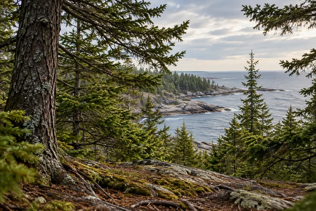 Head Harbor Preserve — AI-generated editorial illustration