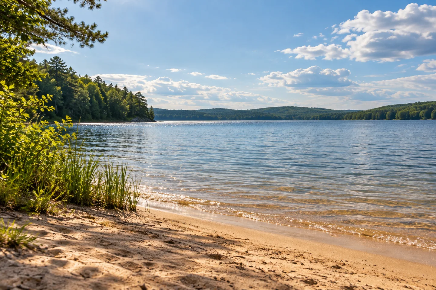 Molasses Pond and Public Beach — AI-generated editorial illustration