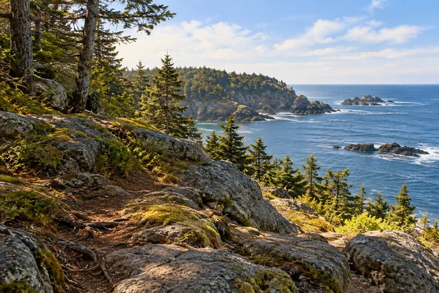 Monhegan Wildlands — AI-generated editorial illustration