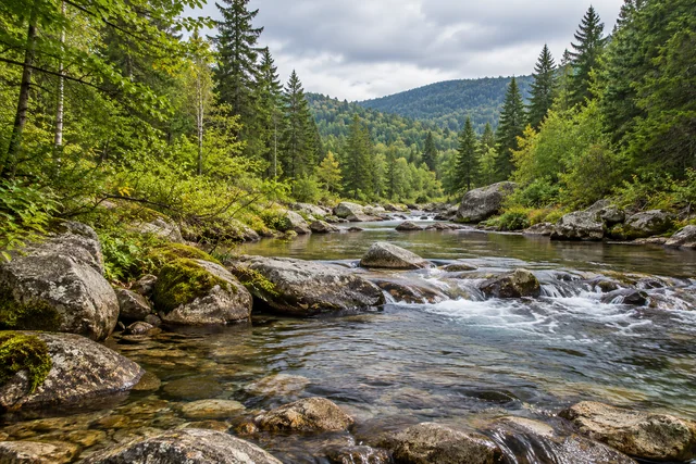 Orbeton Stream Conservation Easement — AI-generated editorial illustration