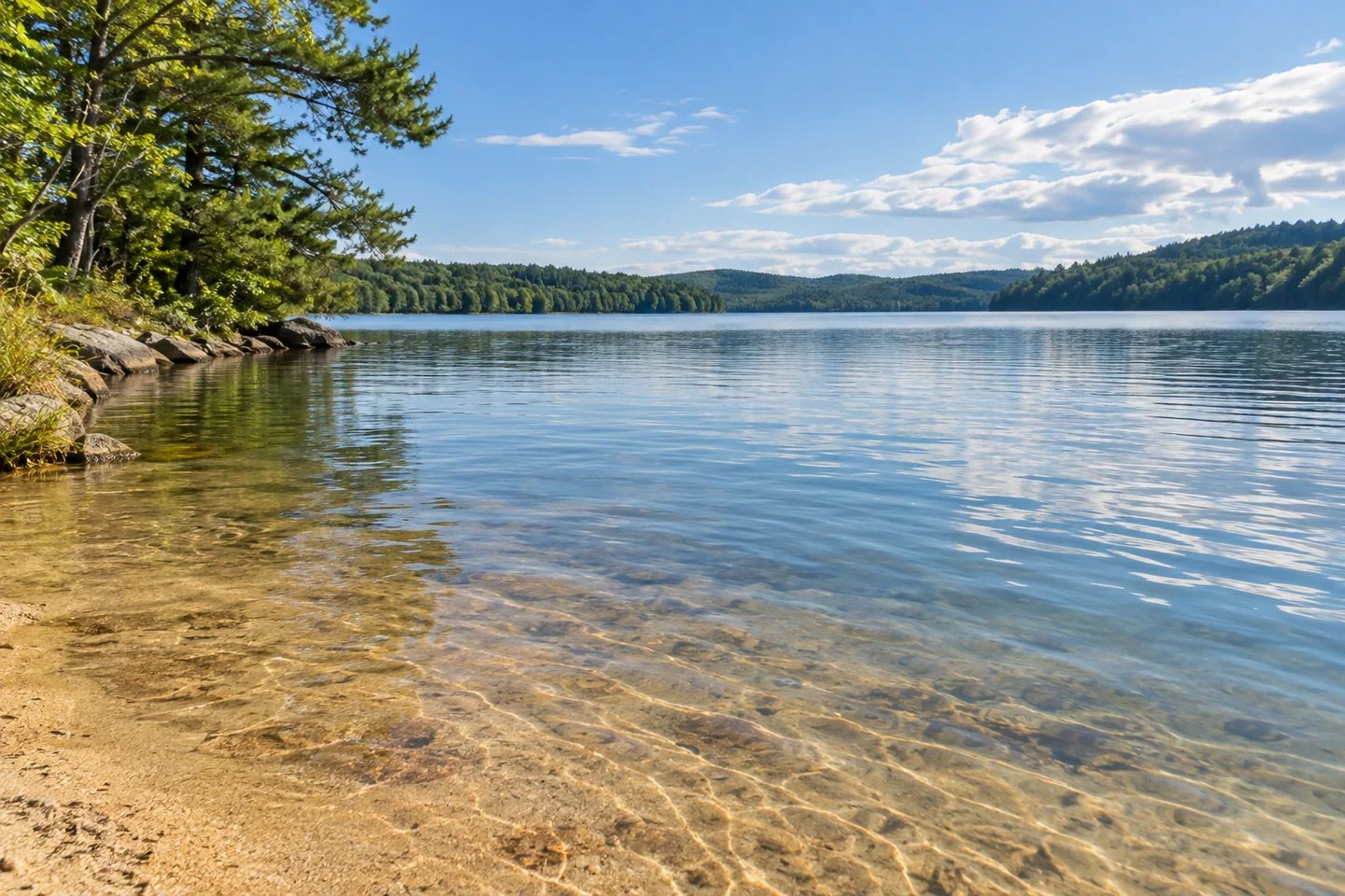 Wilson Lake — AI-generated editorial illustration