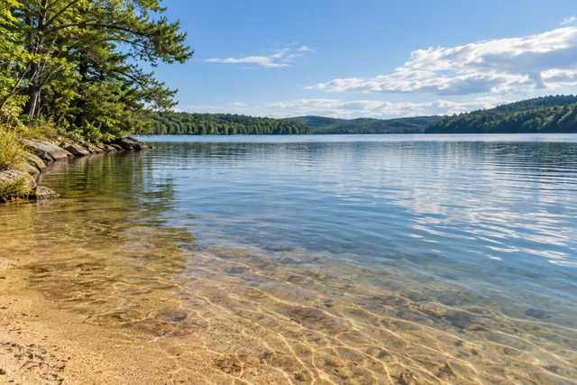 Wilson Lake — AI-generated editorial illustration