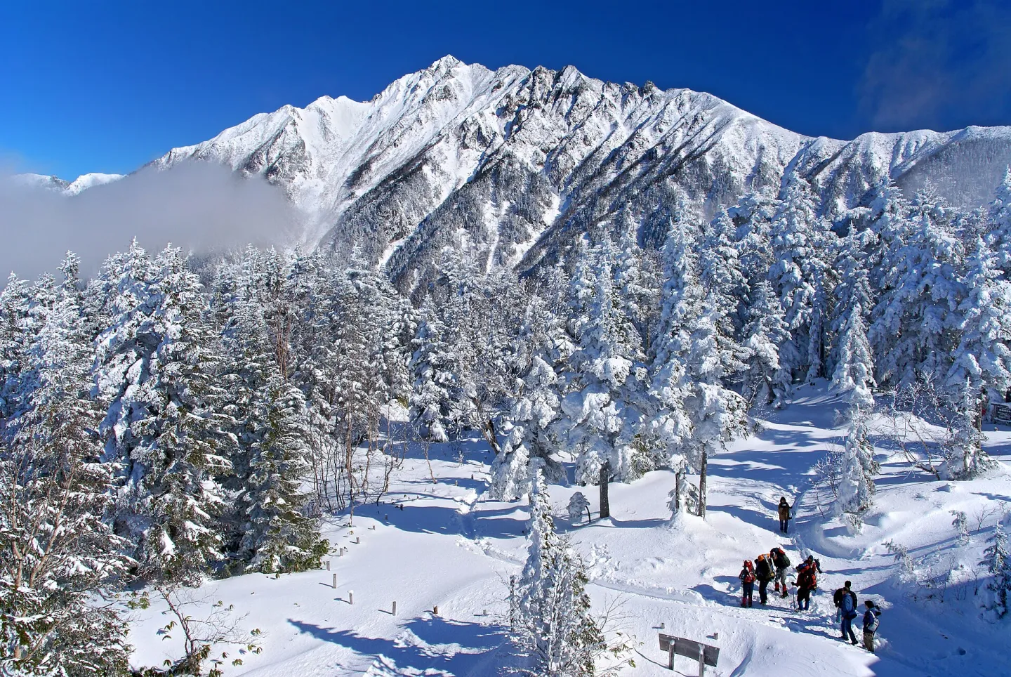 高山市